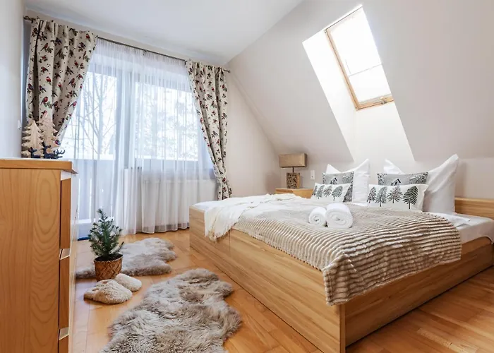 W Górach Ii Zakopane